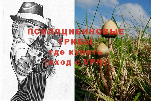 кристаллы Горнозаводск