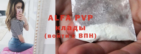 гидра Вяземский