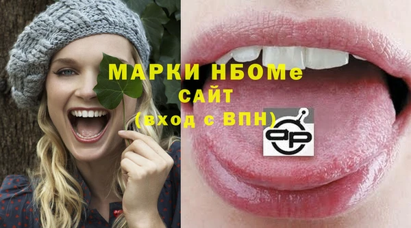 МДПВ Горняк