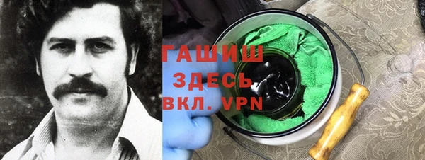 гидра Вяземский