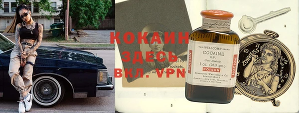гидра Вяземский