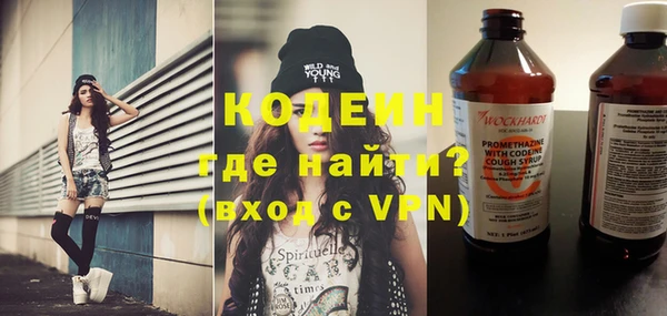 гидра Вяземский