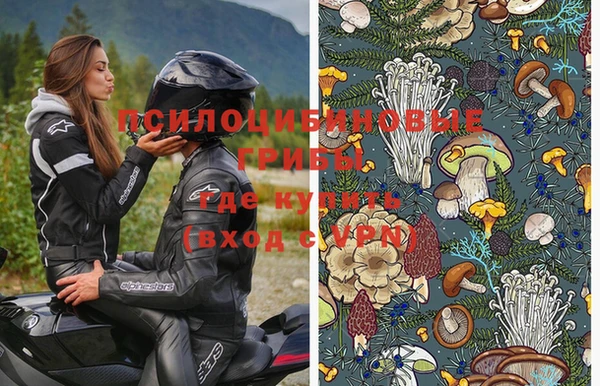 гидра Вяземский