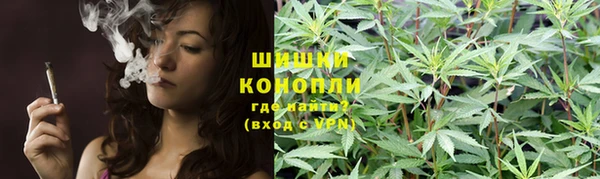 МДПВ Горняк