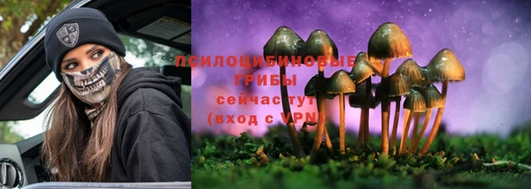 гидра Вяземский