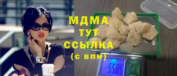 гидра Вяземский