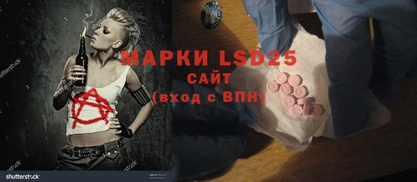 гидра Вяземский